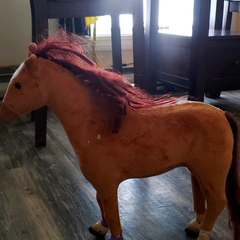 Horse